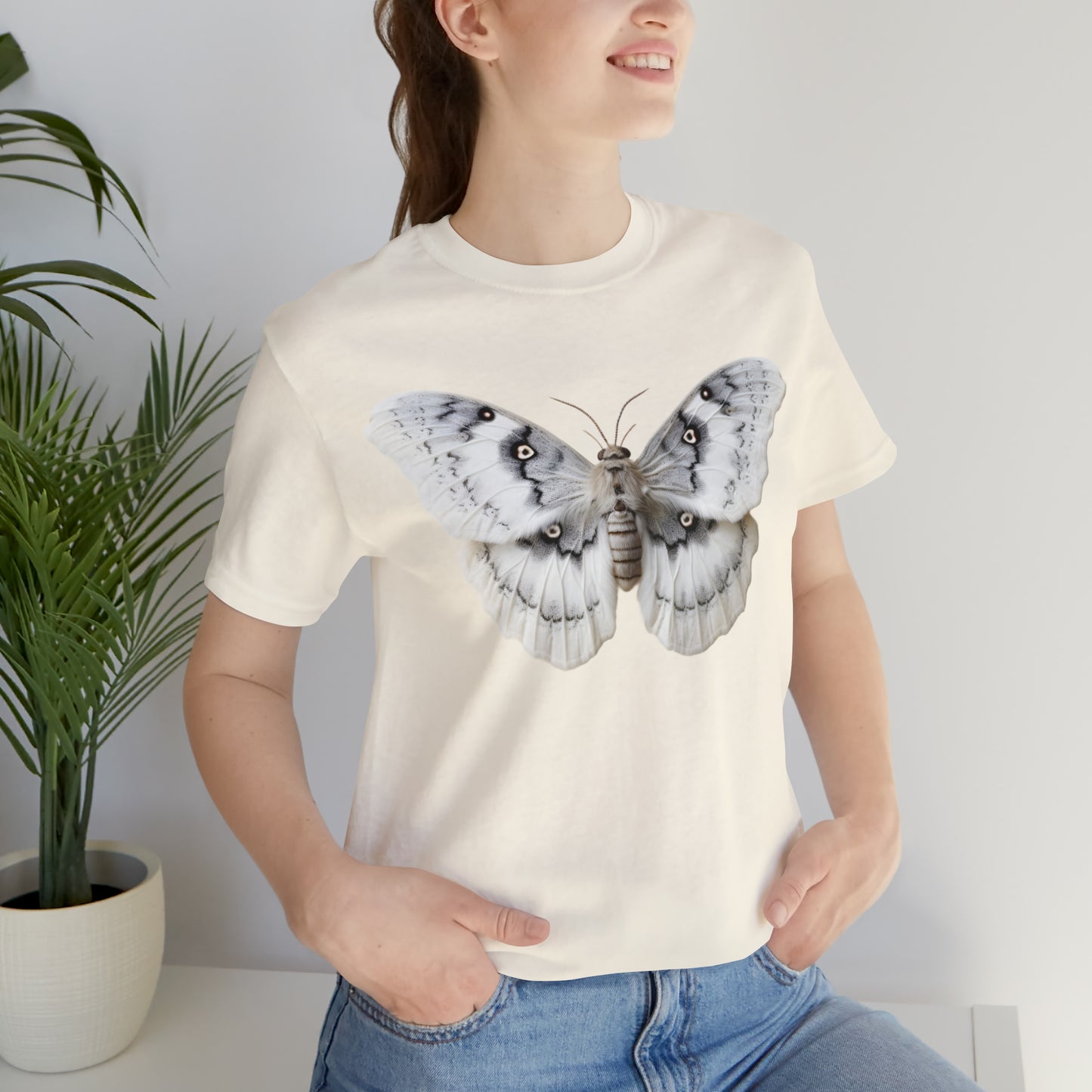 Amazing insects collection: Night fluffy moth