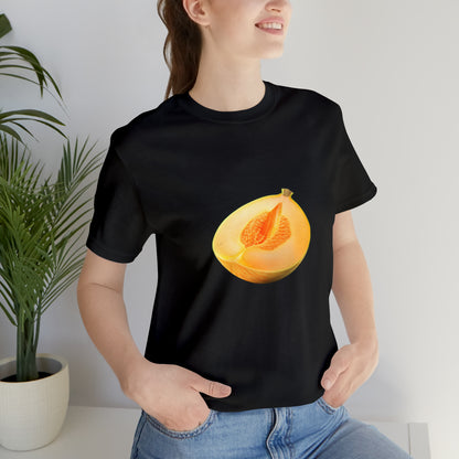 Sweet fruits collection: Melon Piece