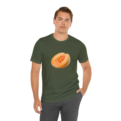 Sweet fruits collection: Ripe Melon Slice