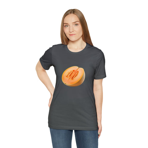 Sweet fruits collection: Ripe Melon Slice
