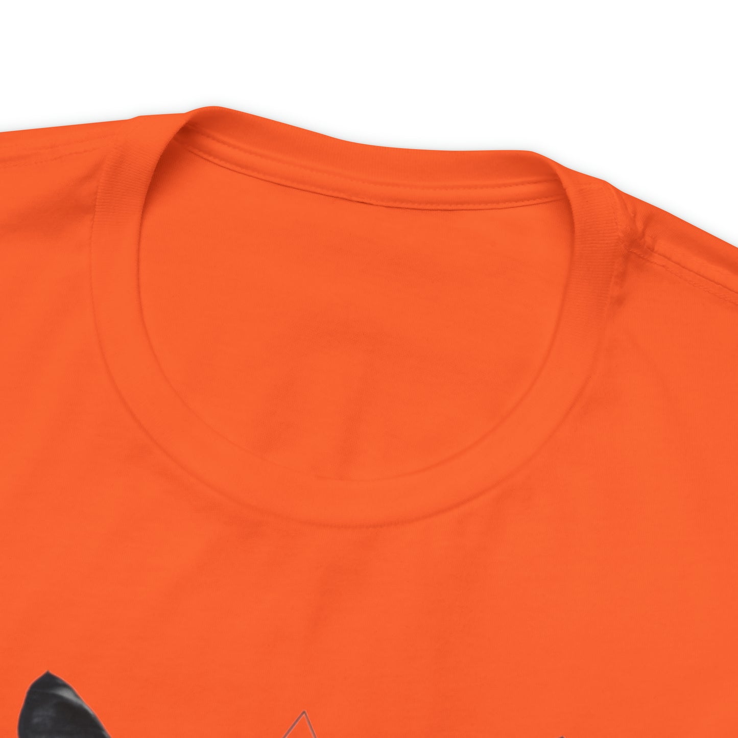 Beloved cats collection: Black Cat in a Triangle