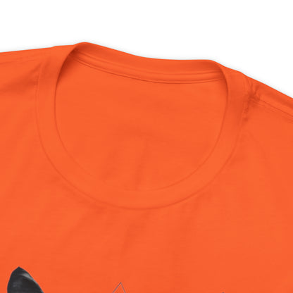 Beloved cats collection: Black Cat in a Triangle