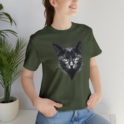Beloved cats collection: Black Cat in a Triangle