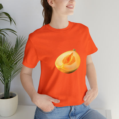 Sweet fruits collection: Melon Piece