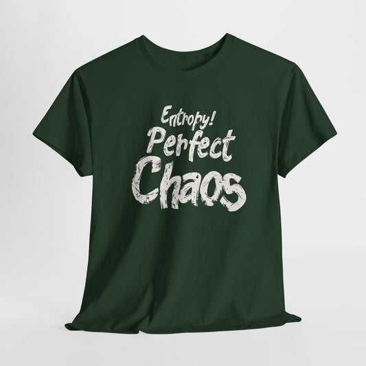 Entropy! Perfect Chaos T-Shirt | Fun Physics STEM Tee