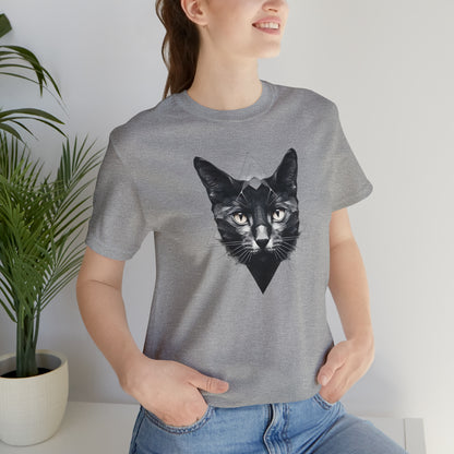 Beloved cats collection: Black Cat in a Triangle