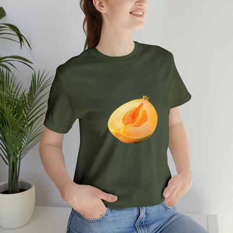 Sweet fruits collection: Melon Piece