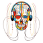 Graphical skeletons collection: Skull with Headphones Suprematism Design