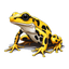 Super frogs collection: Yellow toxic dart frog